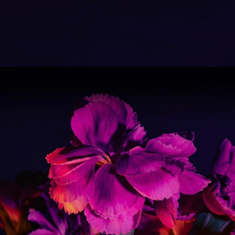 0c85118f-5e94-477d-b58c-08d950ca88b7